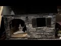 DIY Cardboard Cat House!