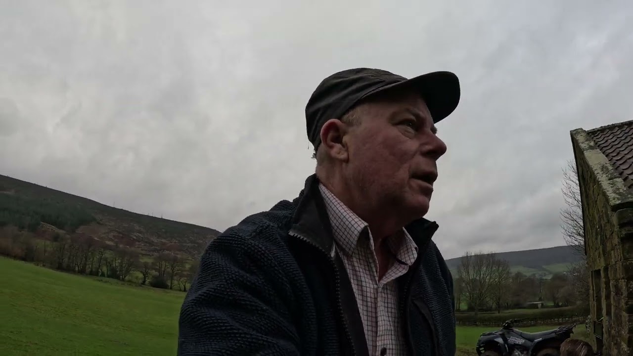 Ещё один день на ферме