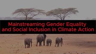 The Role of Community of Practice in Gender Equality and Social Inclusion in Climate Action