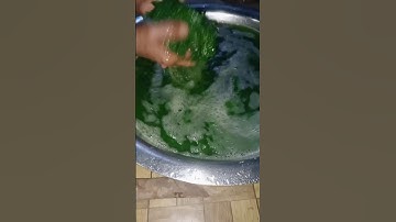 #Fresh pumpkin leaves cooking#shet jyntah sla pathaw#