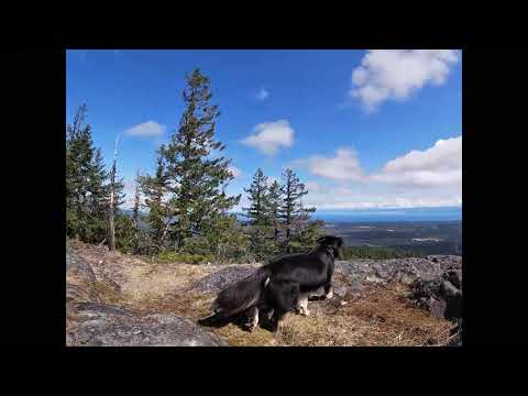 Video: 4-dagers Biltur: Vancouver Island, BC - Matador Network