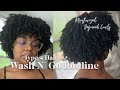 My Summer Wash And Go Routine | Aunt Jackie's on Type 4 Hair