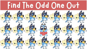 Find The Odd One Out: ALL BLUEY Puzzles