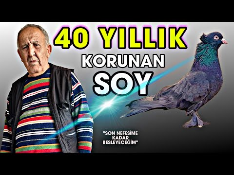 “KUŞLARIMIN YÜZÜNDEN ŞİRKETİMİ KAYBETTİM” / İbrahim Aydemir, Mert Fındık / İzmir / Kümes Ziyareti