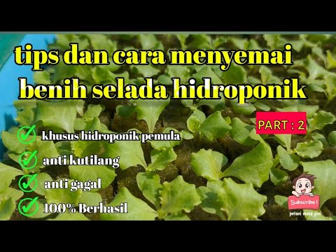 Video: Wadah Bibit DIY. Bagian 2