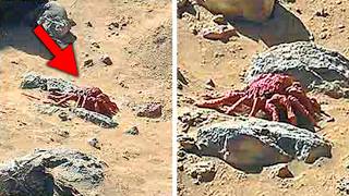NASA Shuts Down Communications After Mars Rover Sends Terrifying Signal! - YouTube