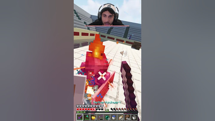 Cheatet TIMMI am ENDE in Minecraft gegen SYou?