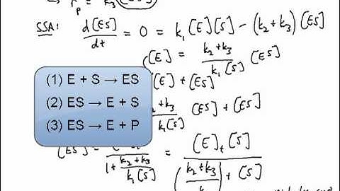 Michaelis-Menten Introduction