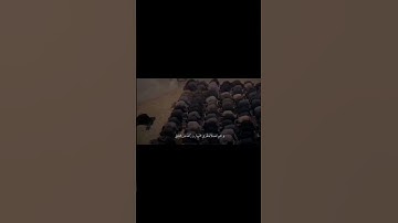 فاستقم كما امرت ومن تاب معك ( القارئ عبد العزيز الدبيخي)