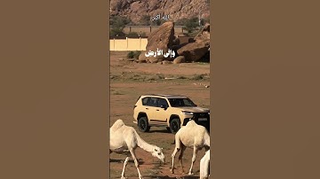 #القران {سورة الغاشية}افلا ينظرون الى الابل كيف خلقت:#الشيخ #خالد_الجليل