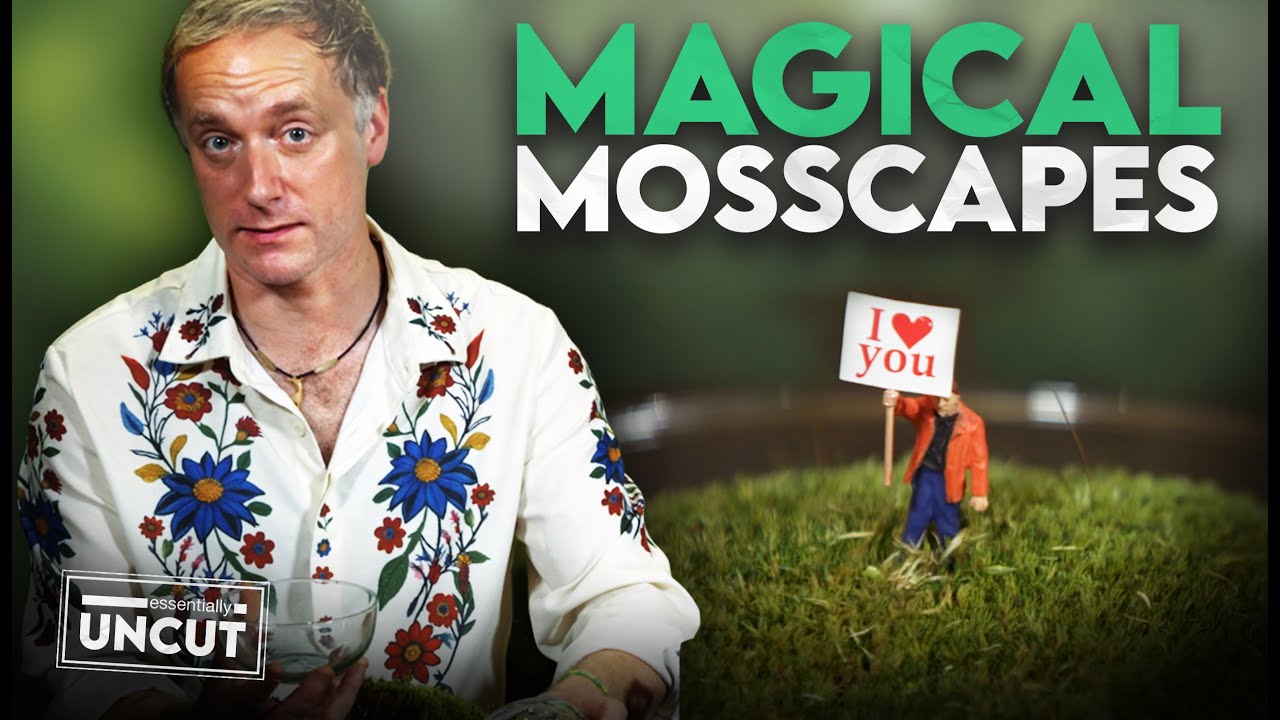 How to Make the Cutest Moss Dioramas!