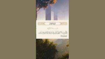 خطورة ترند الكركم #اكسبلور #الرسوم #art #ضحك #العلم #roblox #اهميه #روبلوكس #النظافه #سورة_الفرقان .