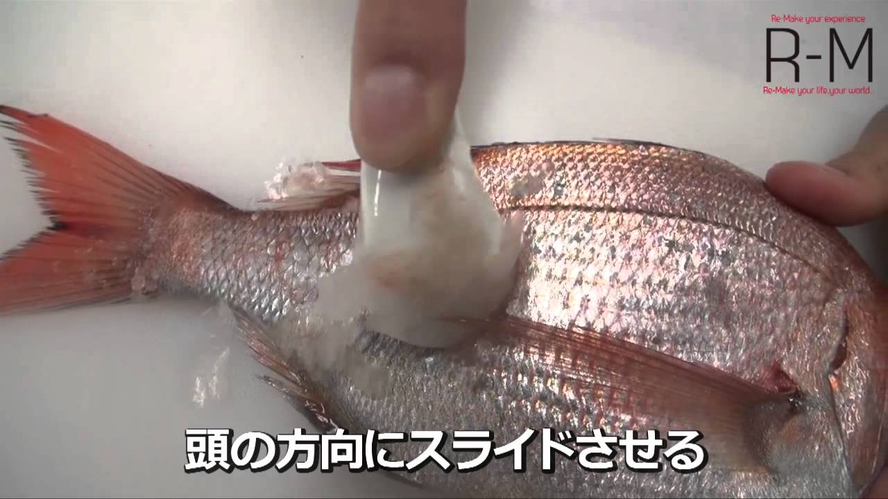 魚のうろこが飛び散らない うろこ取り Youtube