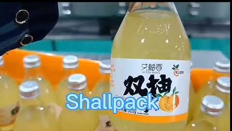 Camera Positioning on Glass Bottles with Shallpack Pressure Sensitive Labeling Machine 15000 BPH