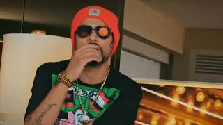 Cheques Ft. Bohemia x Shubh official video