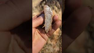 Rock hounding huge Lake county diamond's 2023(type of quartz crystal)(1)