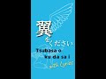 The chorus of "Tsubasa wo kudasai" with lyrics #Shorts