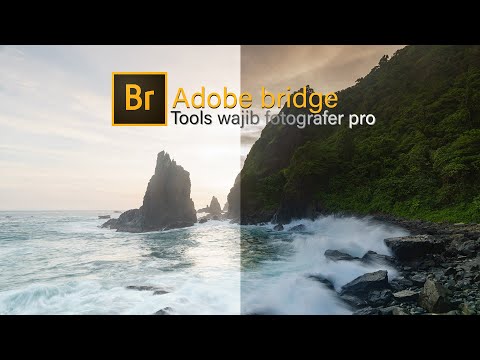 Video: Bagaimana cara mendapatkan Adobe Bridge?