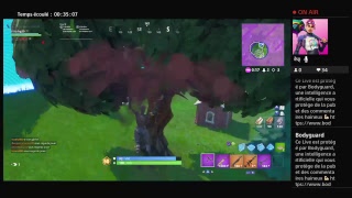 game abo (live fortnite fr ps4)