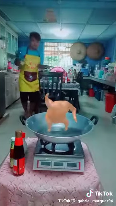 Tik tok ayam joget