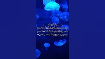 سورة الفيل بصوت عمر القزابري