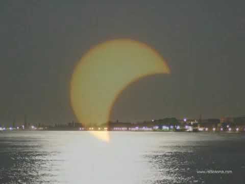 „თოვდა“ ავტორი ნინო კემულარია