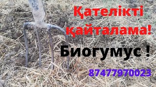 видео: Қателікті қайталама !  Биогумус шубалшаң! Biogumus Shymkent картинка: Қателікті қайталама !  Биогумус шубалшаң! Biogumus Shymkent