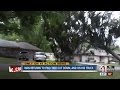 Man returns to find tree cut down and on his truck