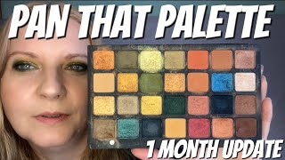 Pan that palette 1 month update  Natasha Denona Metropolis Eyeshadow palette