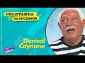 Capture de la vidéo Dorival Caymmi  (Coletânea) - 50 Sucessos