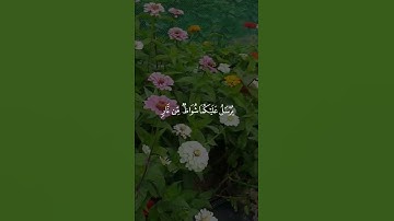 يُرْسَلُ عَلَيْكُمَا شُوَاظٌ مِّن نَّارٍ وَنُحَاسٌ #سورة_الرحمن بصوت| محمد سالم غازي