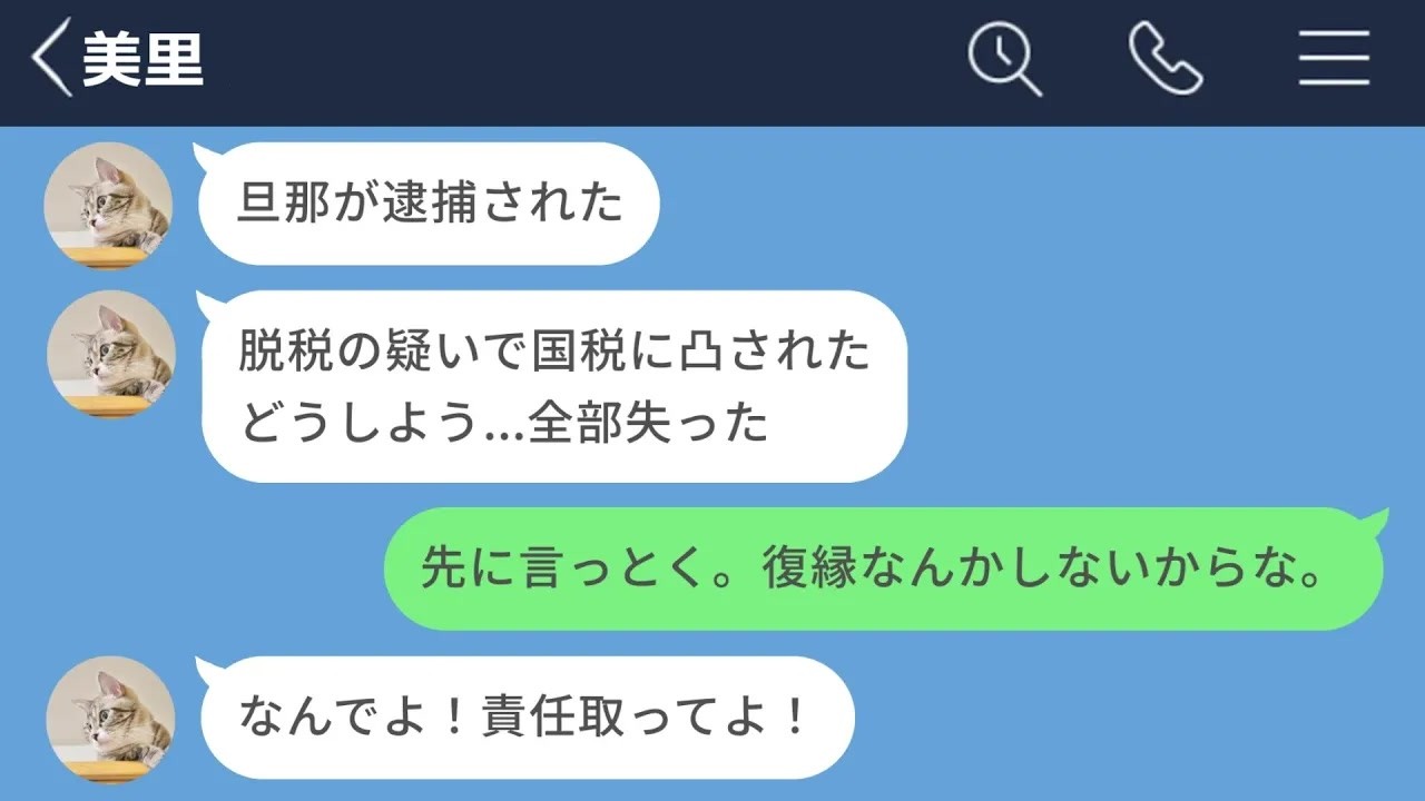 【LINE】金に目が眩んで70歳の資産家と結婚した女の末路www【声あり再UP】【LINEドラマ】
