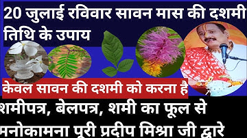 20 जुलाई सावन मास की दशमी तिथि के उपाय|शमीपत्र, बेलपत्रशामी का फूल से मनोकामना पूरी #pradeepmishra 