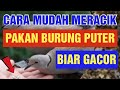 Pakan Burung Puter Biar Gacor