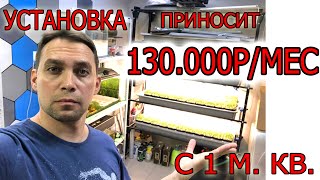 100% БЕСПРОИГРЫШНЫЙ вариант бизнеса в квартире.