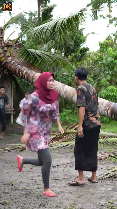Old Coconut Tree Falls on Small Hut #coconut #shortvideo #hut #ai