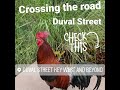 Key West 2020 - Fancy a walk down the famous Duval street?