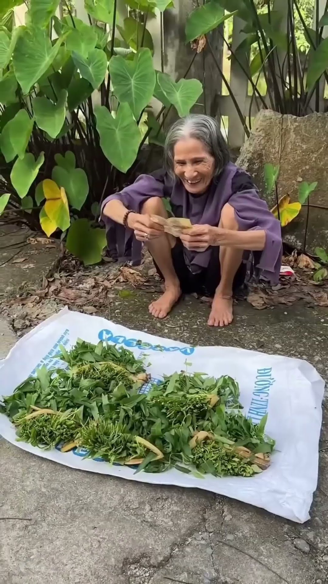 old lady's vegetable crushed by scooter #shortsvideo
