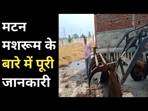 वीडियो: केकड़े की छड़ियों के साथ मशरूम का सलाद