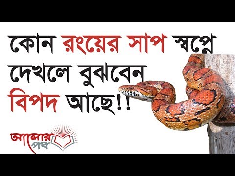 স্বপ্নে কোন রং এর সাপ দেখলে কি হয় !! দুশমন ও হিংসে থেকে বাচতে যে আমল গুলো করবেন!!