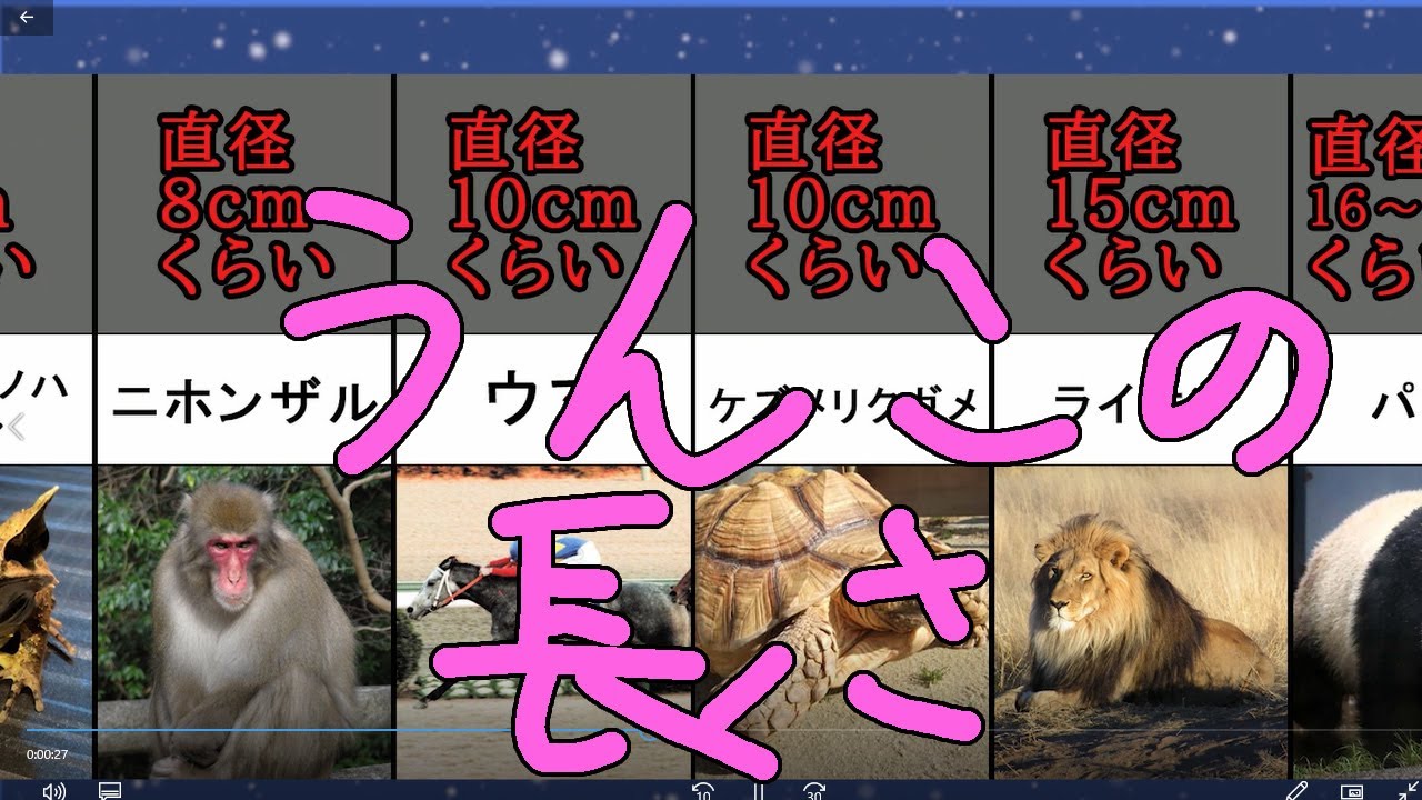動物のうんこの長さランキング Youtube 動物のうんこの長さランキング Youtube