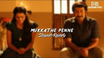 Mukkathe penne | Slowed + Reverb | Malayalam