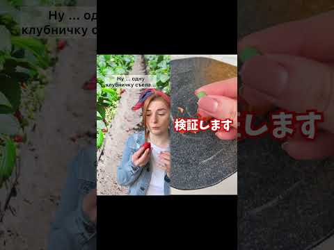 Интересно, а в этом году пустят туда людей ? Или как и все остальное - закроют 🥵