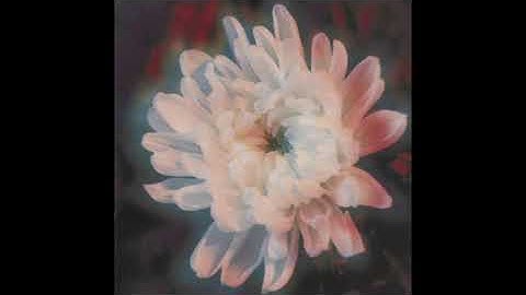 K.K. Null – Absolute Heaven (1993)