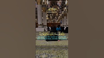 أرح سمعك وقلبك 💓 تلاوة خاشعة ومريحة 💓
