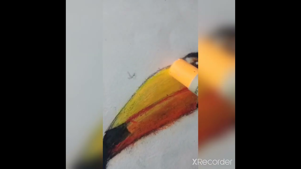 Brustro artists oil pastels