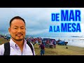 Conociendo el Parque de Mariscos “Playita Mia”【Manta, Ecuador】