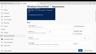 How to make Powershell look good in Windows Terminal