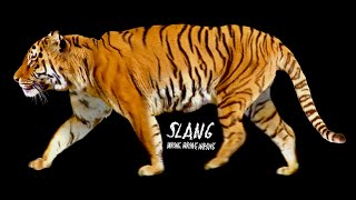 Slang - Wrong Wrong Wrong (Official Lyric Video)