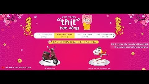 Có bao nhiêu con heo tất cả trong lắc xì năm 2024